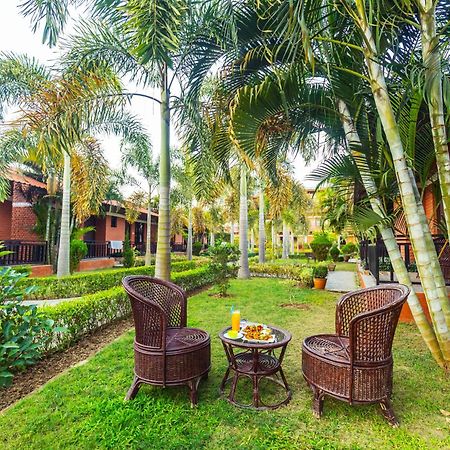 Hotel Vision Safari Pvt Ltd Sauraha Exterior foto
