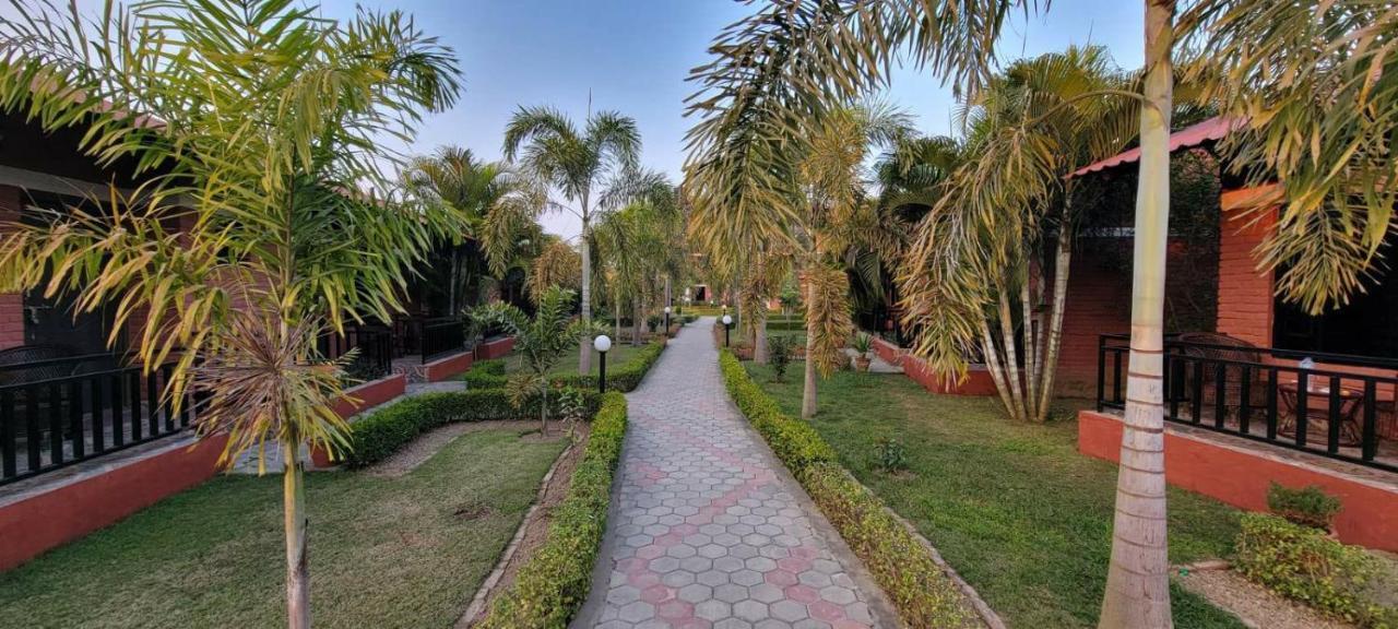 Hotel Vision Safari Pvt Ltd Sauraha Exterior foto